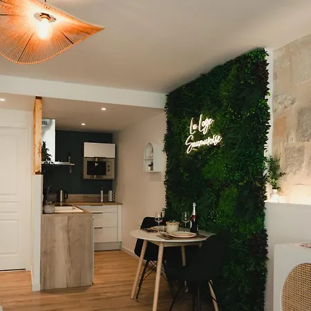 La Loge Saumuroise - Charme, Confort & דירה סומור