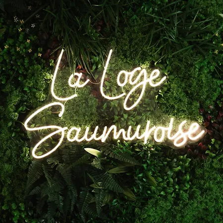 Apartament La Loge Saumuroise - Charme, Confort & Local-velo *