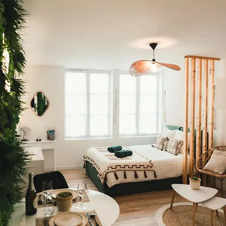 Apartment La Loge Saumuroise - Charme, Confort & Local-velo