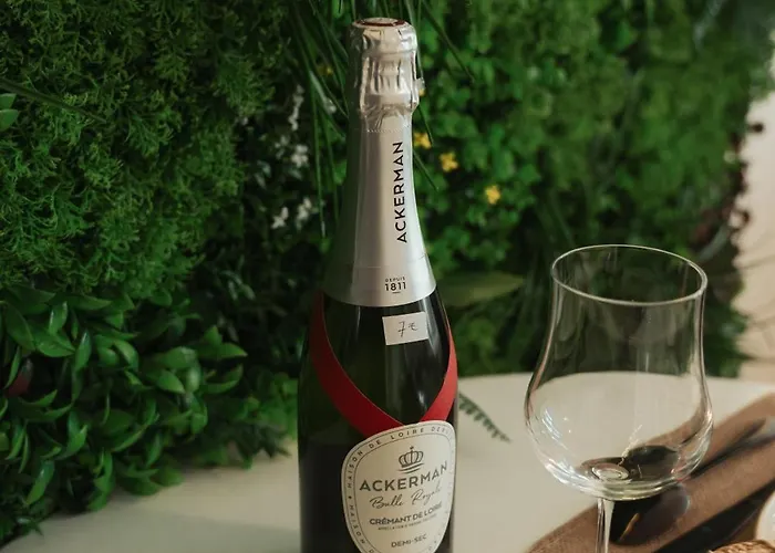 La Loge Saumuroise - Charme, Confort & Διαμέρισμα Saumur