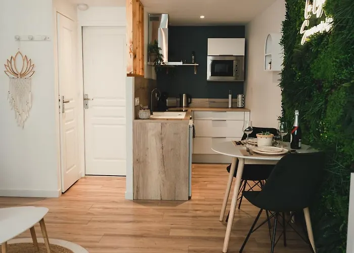 Διαμέρισμα La Loge Saumuroise - Charme, Confort &